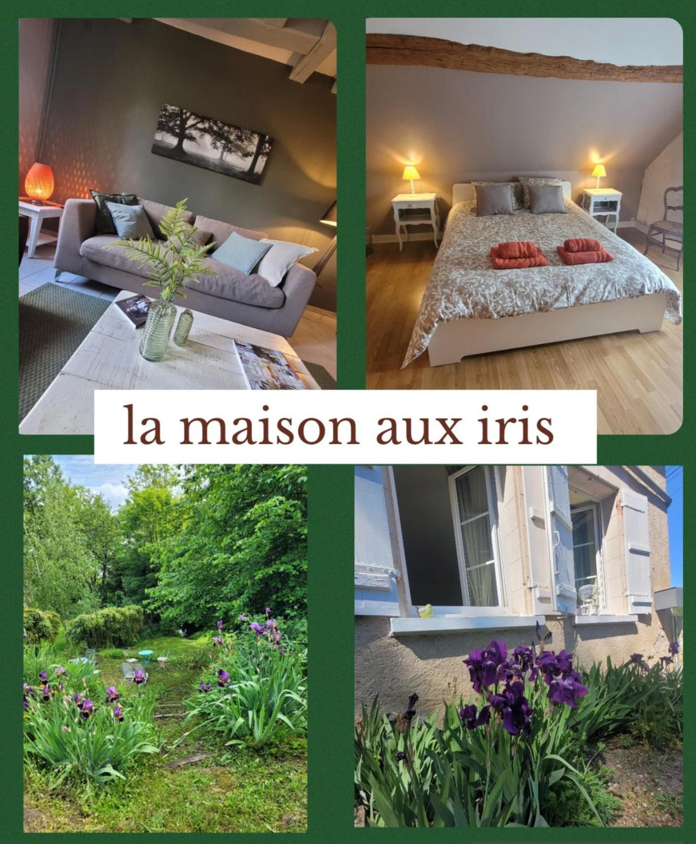 La Maison Aux Iris Poce-sur-Cisse Exterior photo
