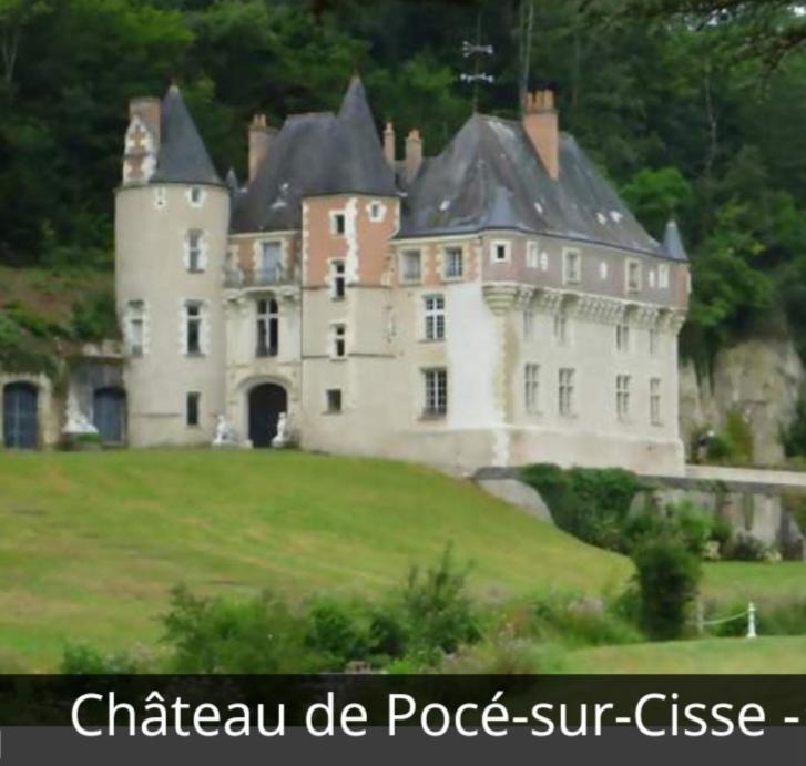 La Maison Aux Iris Poce-sur-Cisse Exterior photo